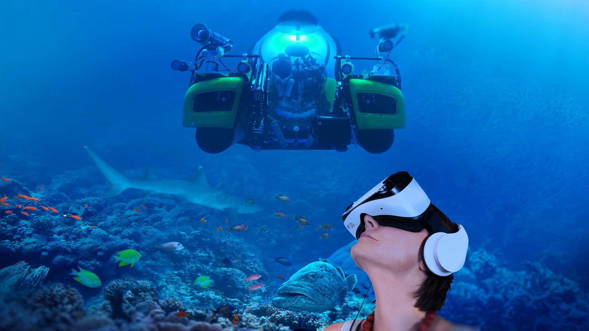 great barrier reef virtual reality