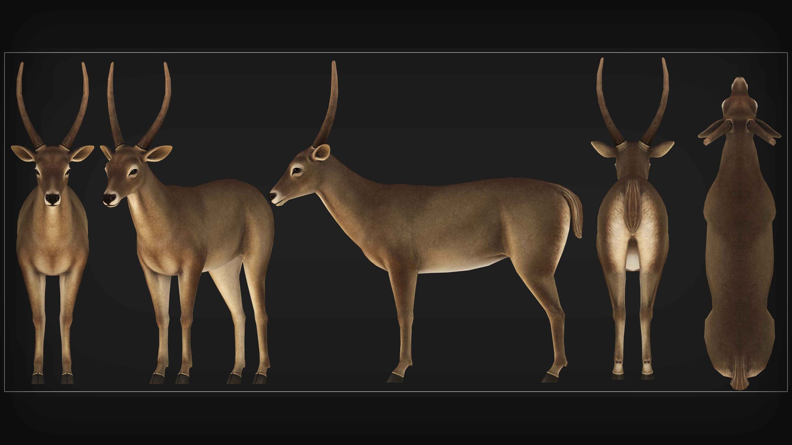 mobile-ready-3d-characters-14