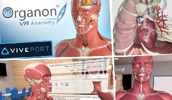 3d organon case study