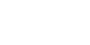 big-fish-logo